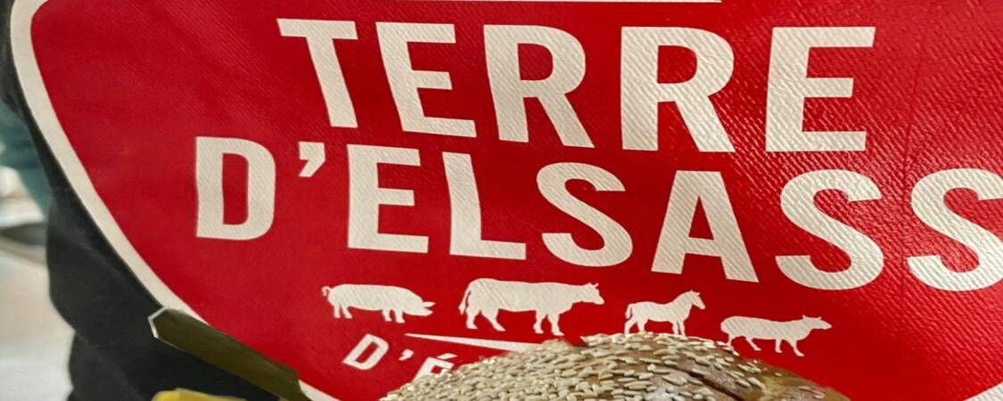 Nos plats Wittelsheim